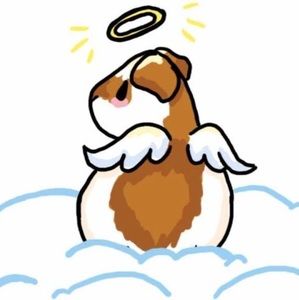 Meet your Posher, Jen